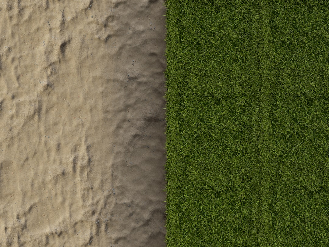 Bagged vs. Bulk Soil: A Realistic Comparison
