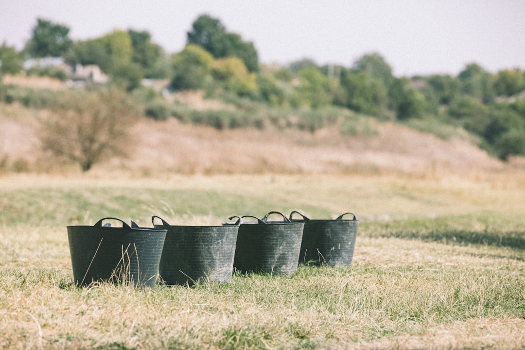 Carrying a bucket of compost across a small garden path