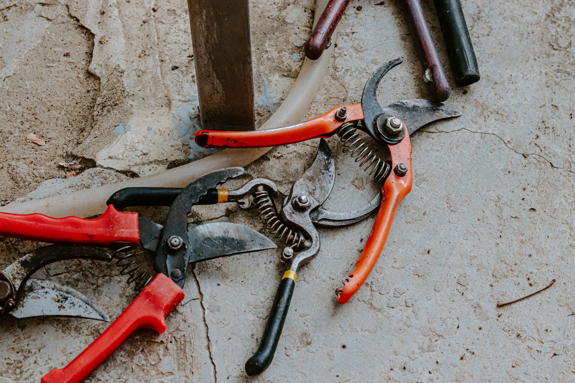 Choosing a Pruning Shear You Will Still Like in Five Years