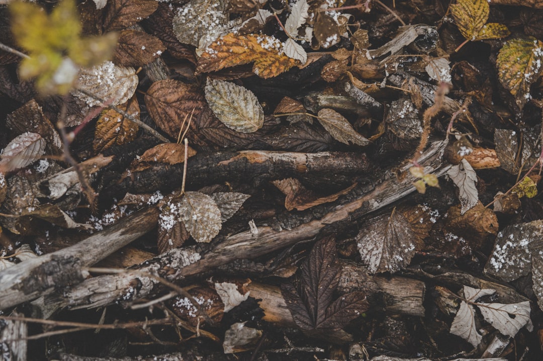 A Compost Routine That Actually Sticks