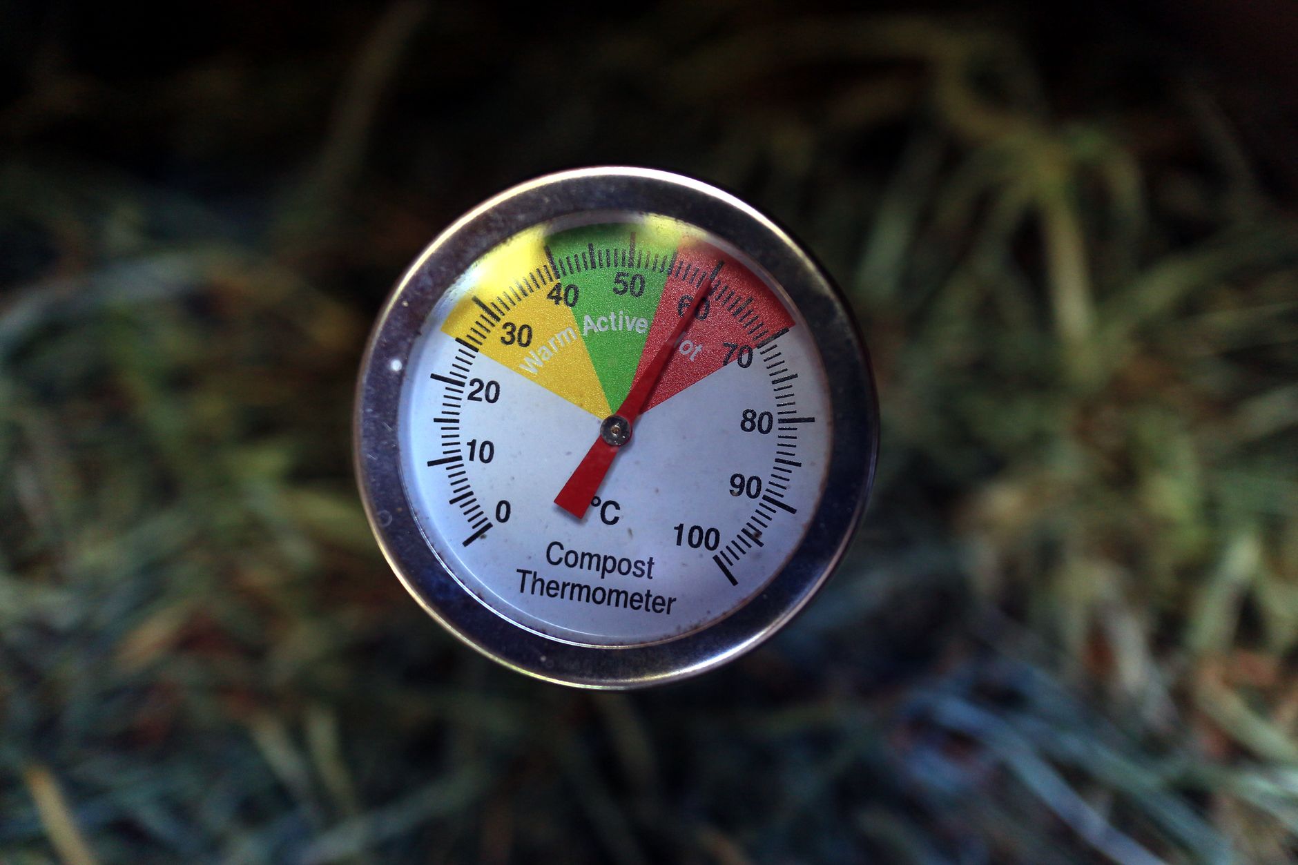 Compost Tumblers: Honest Pros and Cons