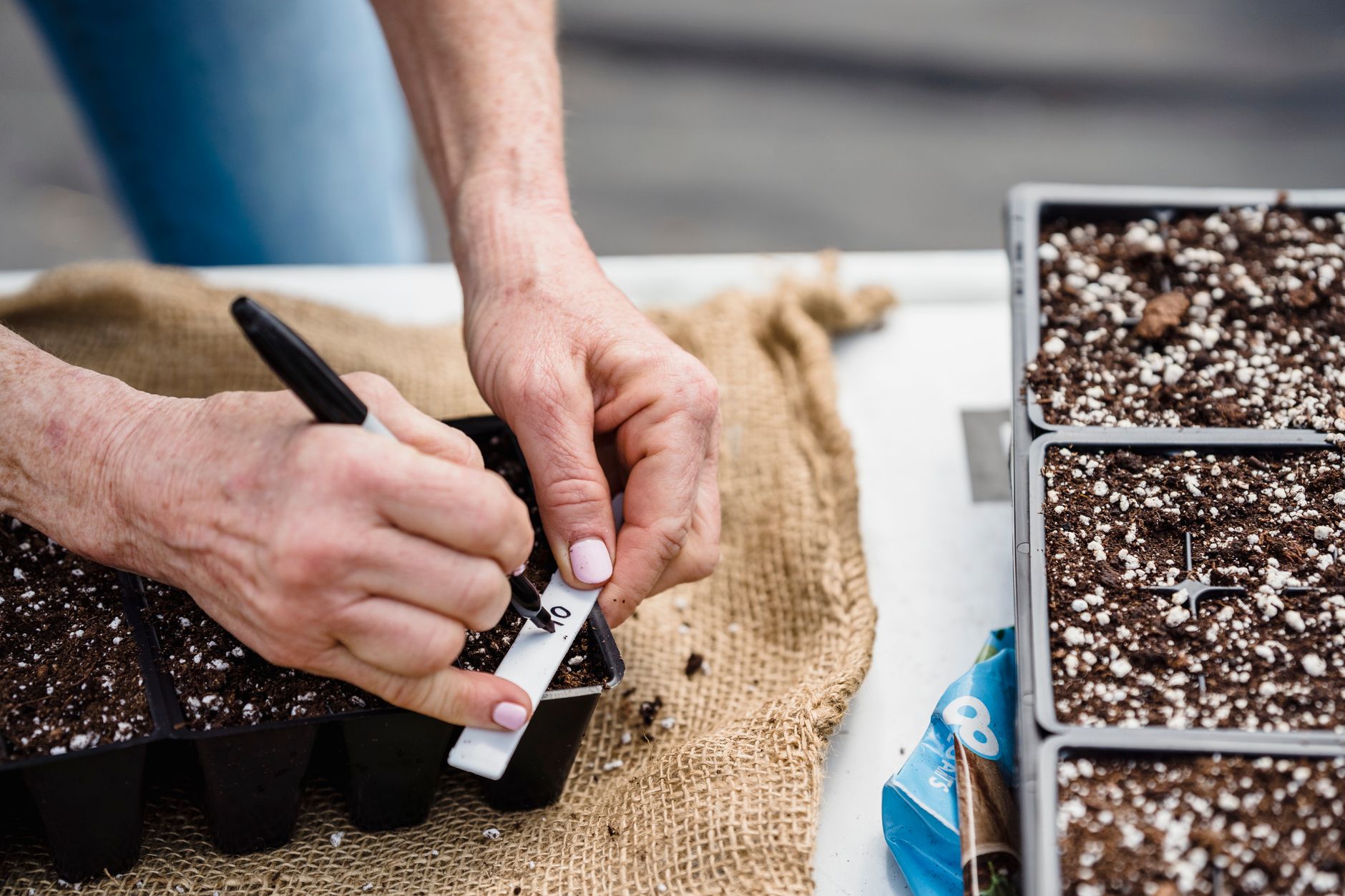 A Beginner’s Calendar for Cool-Climate Urban Gardens