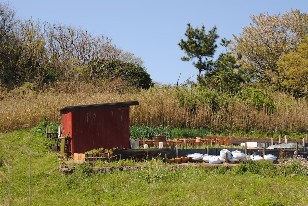 Cover Crops for Small Beds