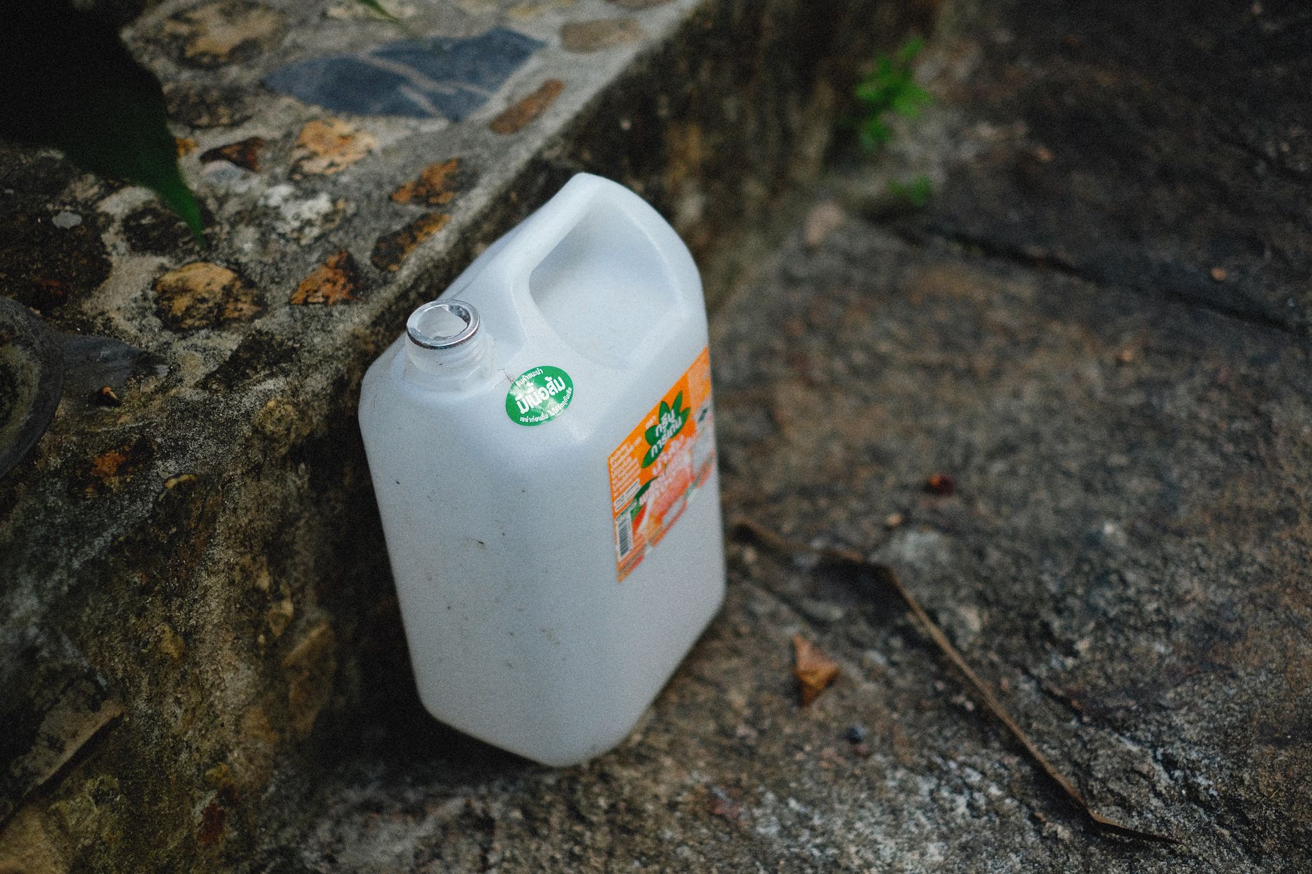 Drainage Mistakes That Quietly Kill Container Plants