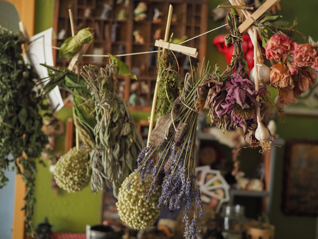 Drying Herbs Without a Dehydrator