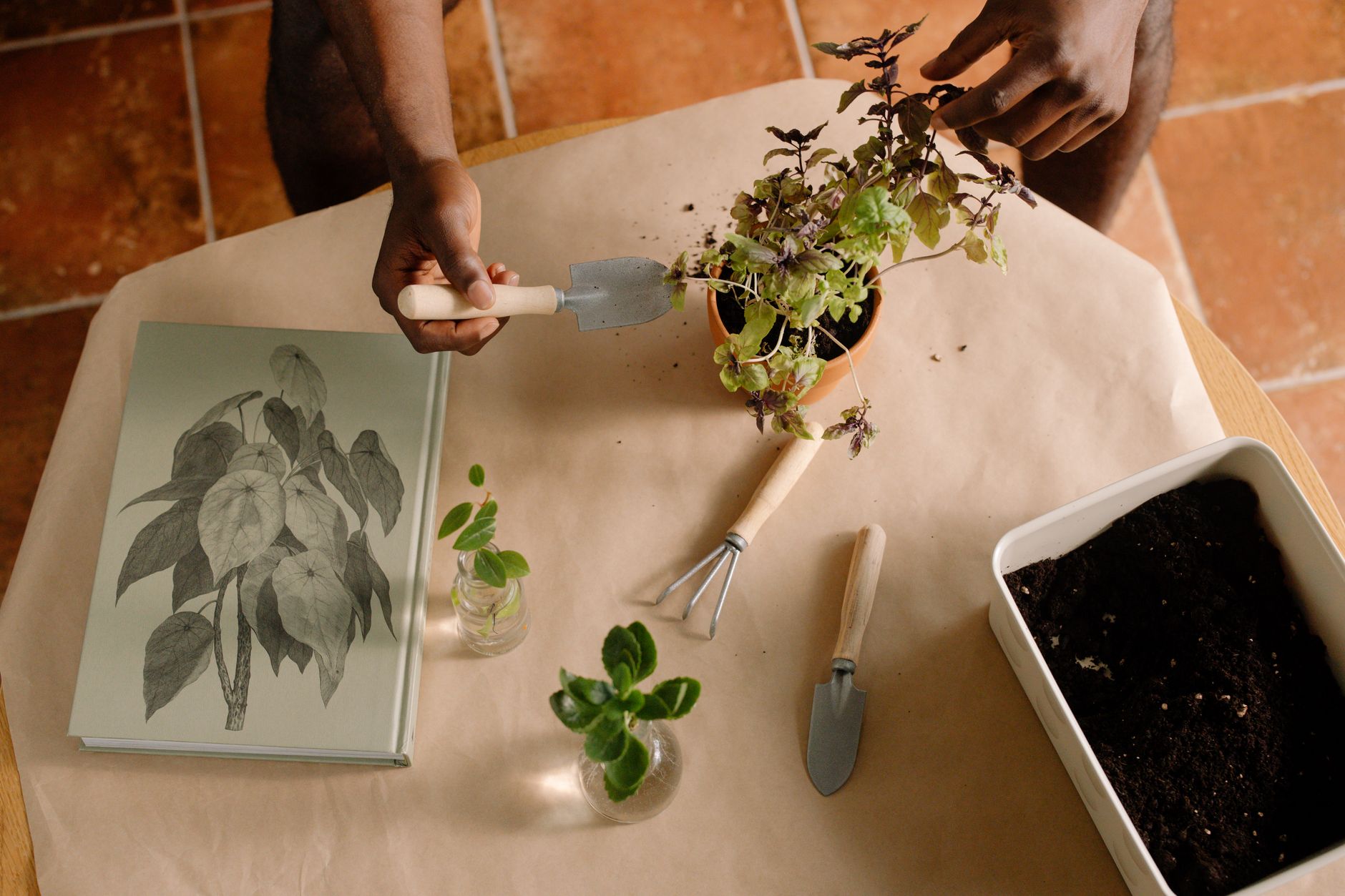 Garden Forks vs. Spades: When Each Earns Its Keep