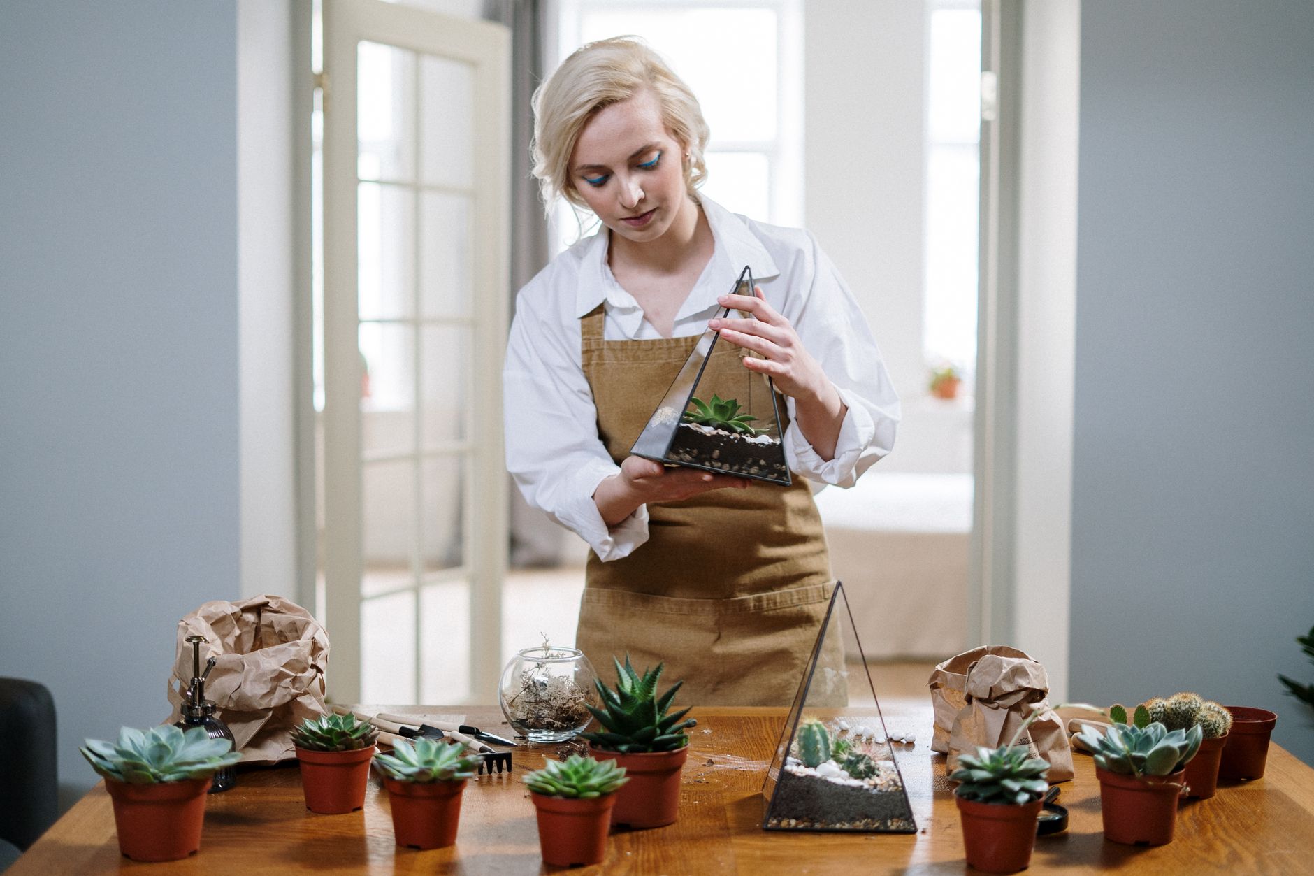 Picking a Grow Light for a Small Apartment