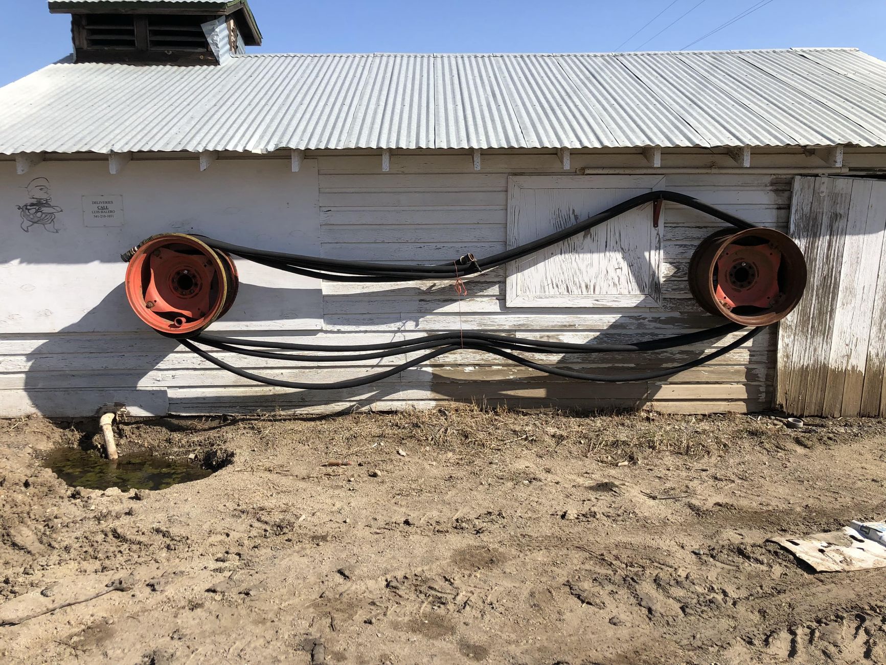 Hose Reels, Drip Tape and the Quiet Plumbing of a Yard