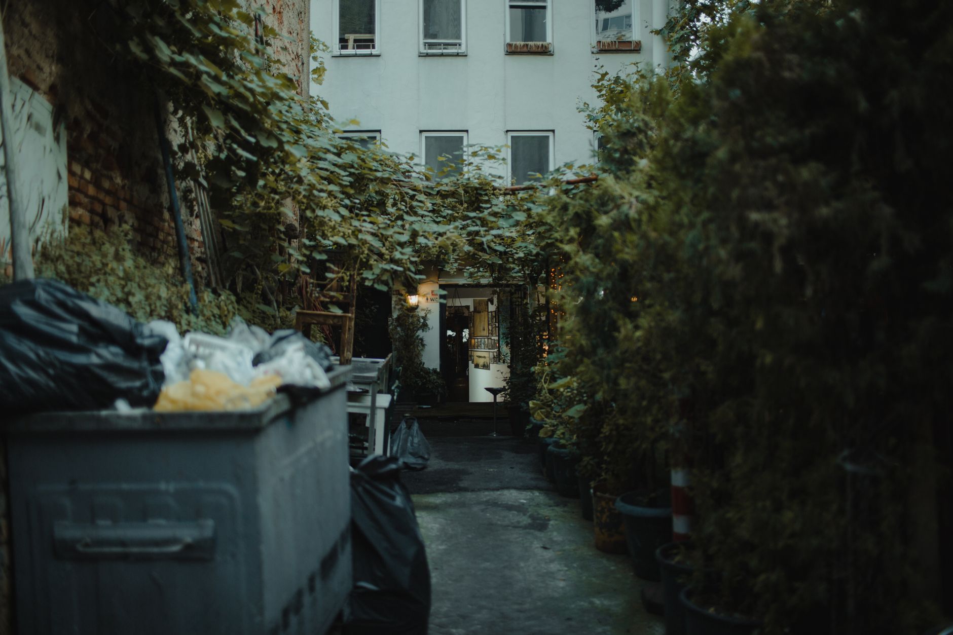 Indoor Worm Bins for Apartments