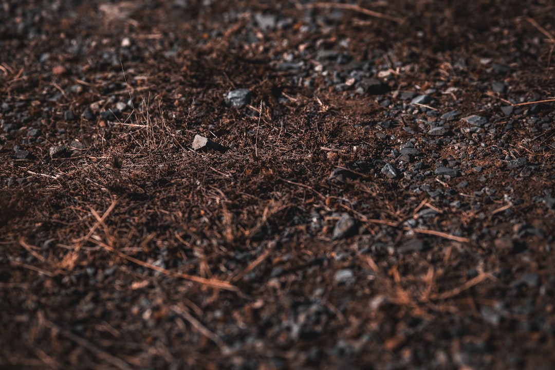 Mulching Materials for Different Climates