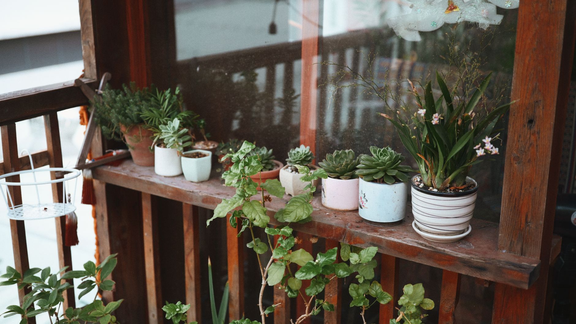 Rainwater Collection on a Small Balcony or Patio