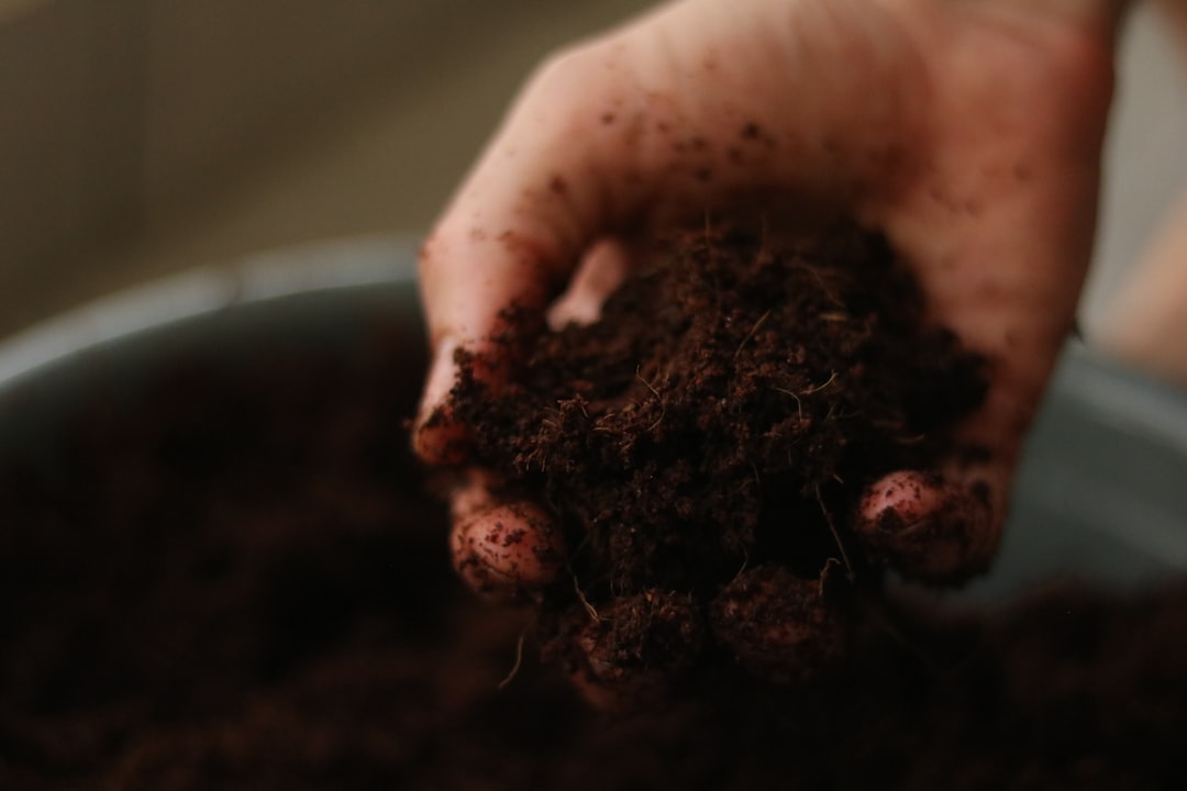 Hands mixing fresh compost into old potting soil