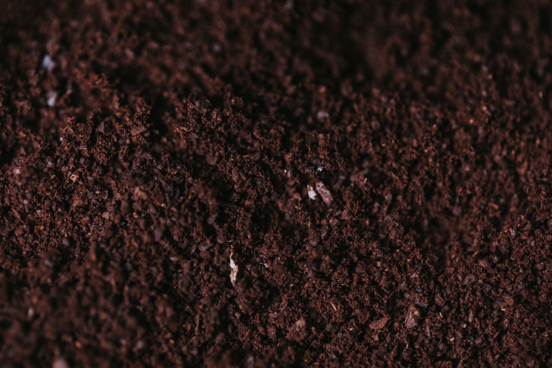 Reviving Tired Container Soil