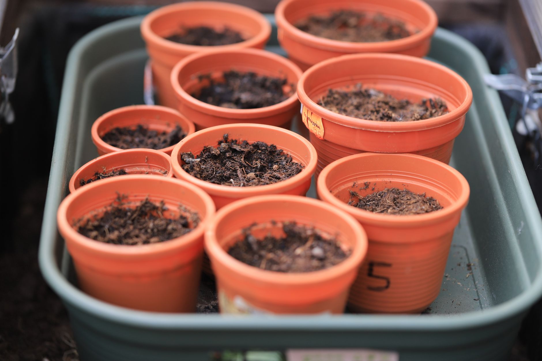 How to Pick the Right Soil Mix for Containers