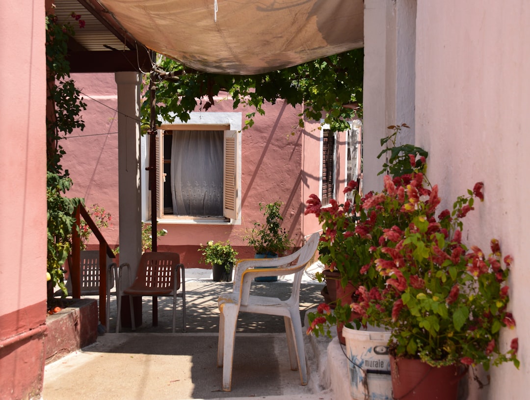 A small balcony garden facing bright afternoon sunlight