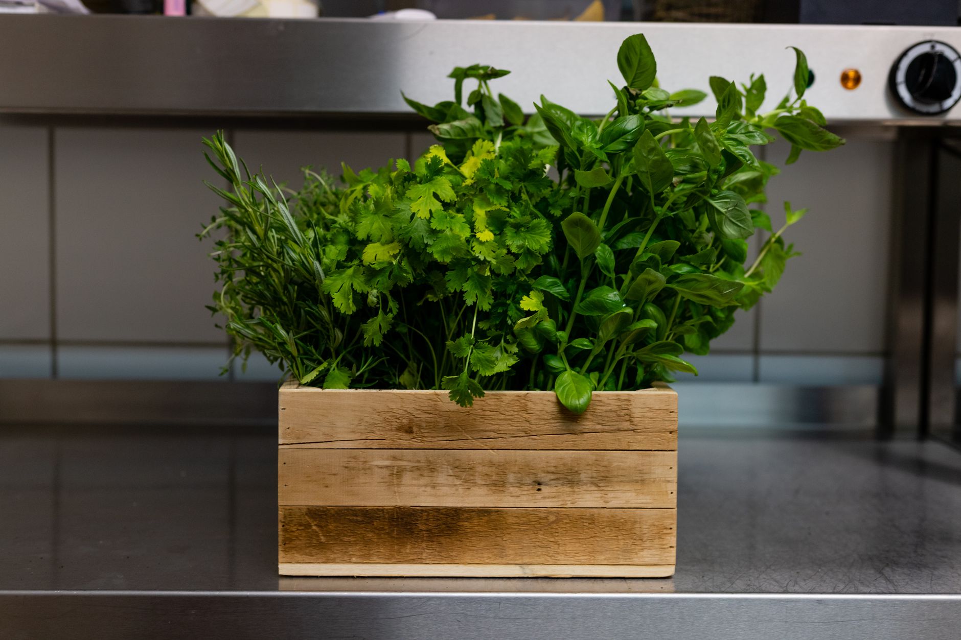 Window-Box Herbs Through All Four Seasons