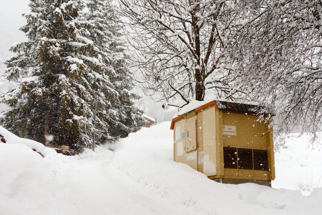 Winterising a Small Coop