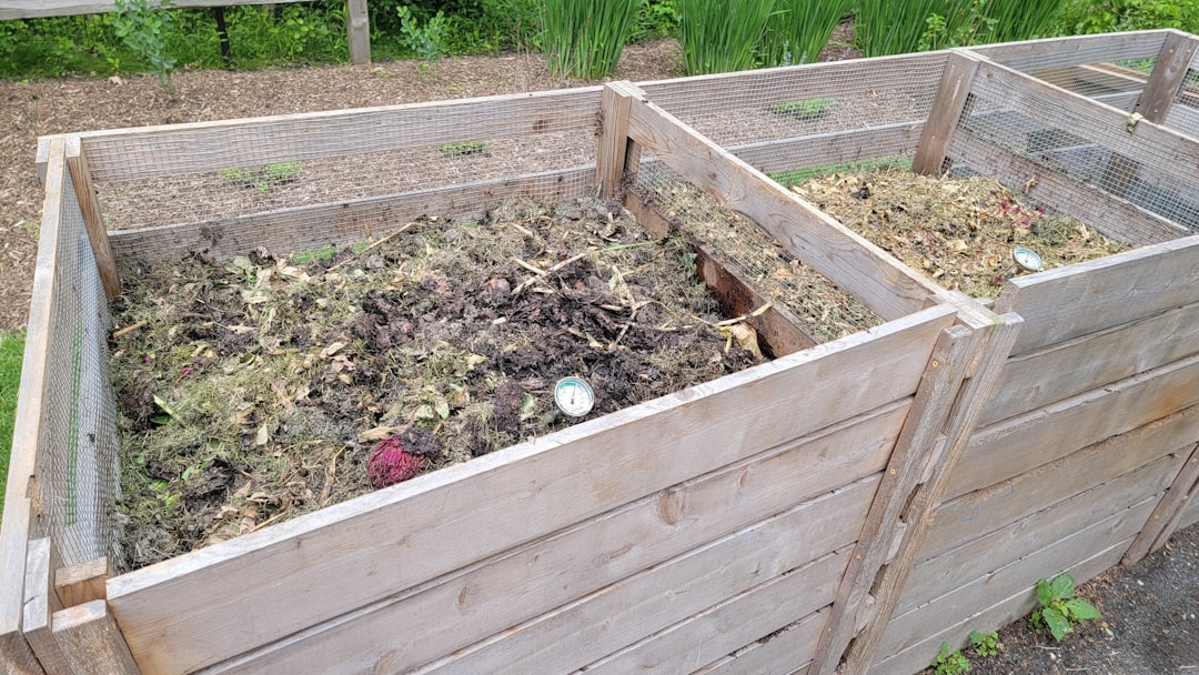 A Year of Composting Without a Yard